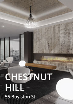 Chestnut Hill